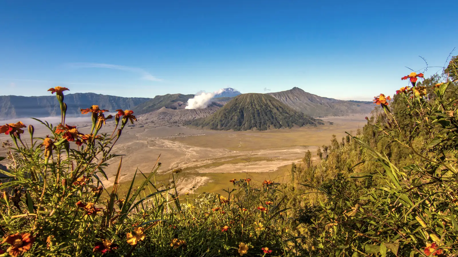 Breathtaking sunrise over Mount Bromo volcano complex in East Java